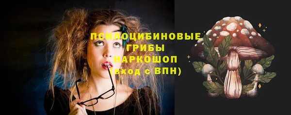 спайс Алзамай