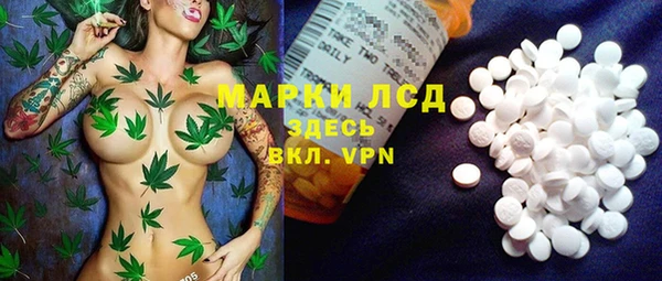 спайс Алзамай