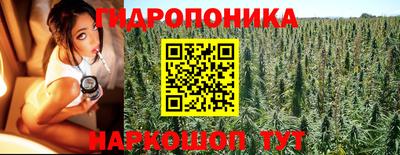 дурь Пугачёв