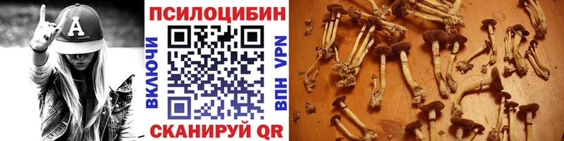 Псилоцибиновые грибы Psilocybine cubensis  купить наркотик  Сорочинск 