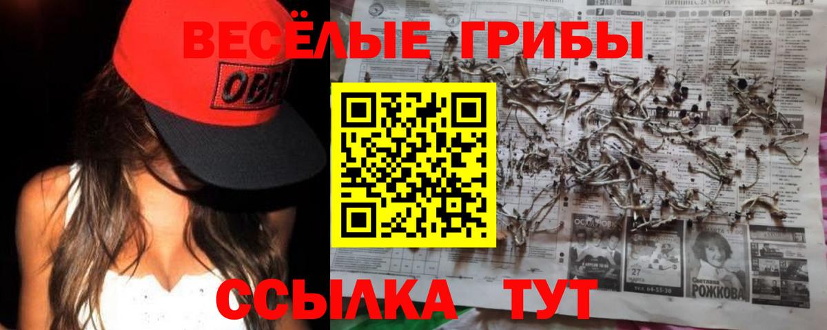 Галлюциногенные грибы Magic Shrooms Сорочинск